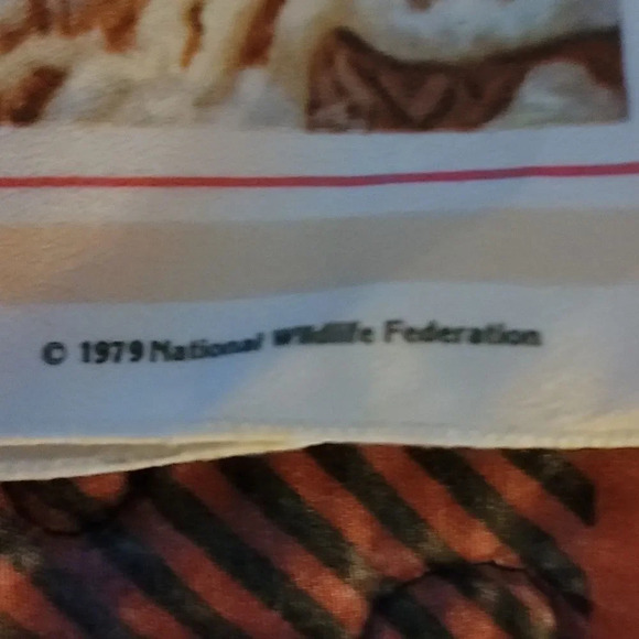 National Wildlife Federation Scarf Winter Marsh Wetlands Birds 12x42" - Picture 4 of 7